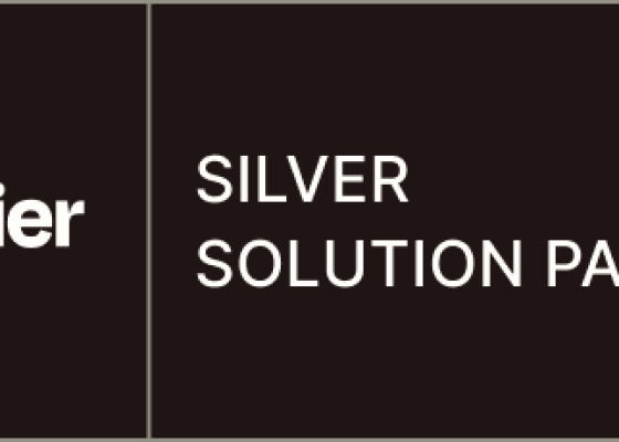 Silver Solution Partner Badge Silver Solution Partner Badge