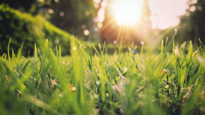 aniket-bhattacharya-CgyrwbE6Hm4-unsplash aniket-bhattacharya-CgyrwbE6Hm4-unsplash